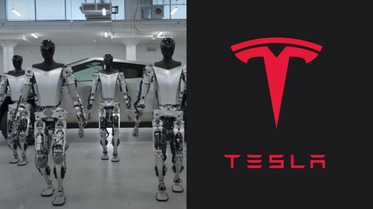 Tesla 로봇은 이제 걷고 물건을 집을 수 있습니다.
